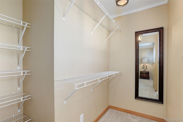 spacious closet with light colored carpet