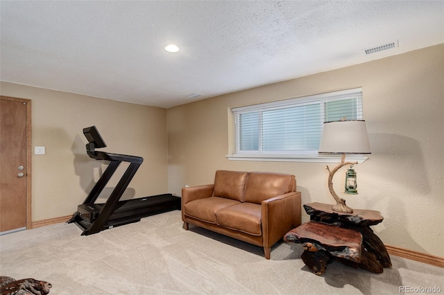 workout room featuring carpet and a textured ceiling