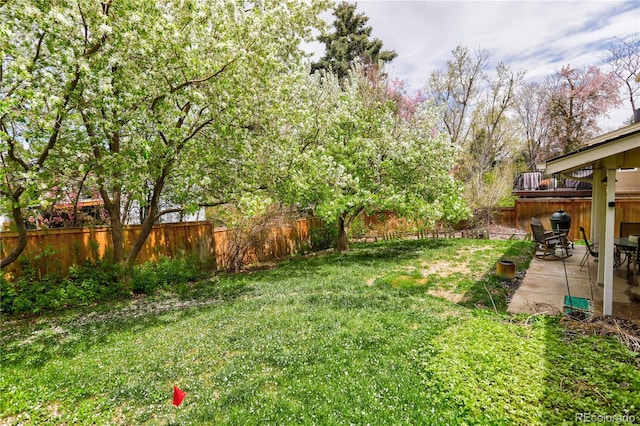 view of yard with a patio area