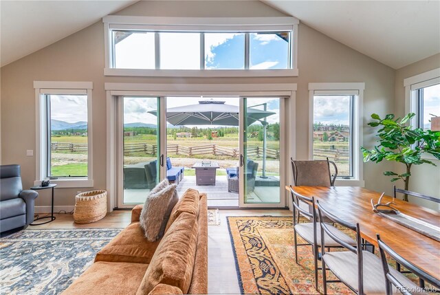 277 Hay Meadow Dr, Fraser, CO 80442 - office space with high vaulted ceiling and wood finished floors