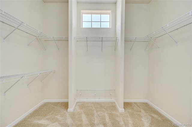 2061 Cheyenne Summer Vw, Colorado Springs, CO 80904 - walk in closet featuring carpet floors