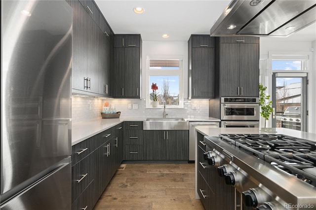 kitchen featuring appliances with stainless steel finishes, extractor fan, sink, plenty of natural light, and dark hardwood / wood-style floors