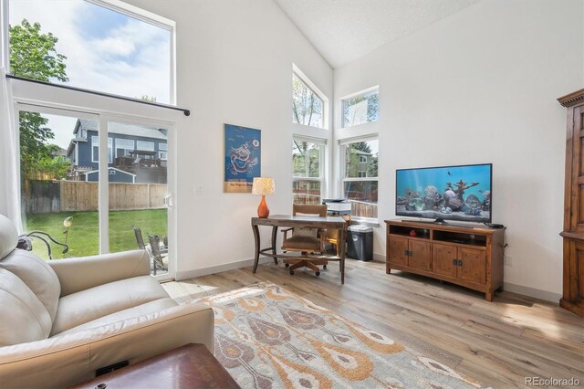 living room with high vaulted ceiling, light wood-type flooring, and baseboards