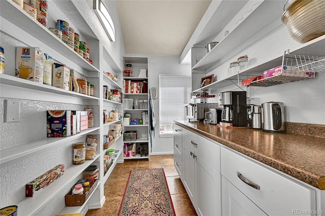 10653 W Parkhill Dr, Littleton, CO 80127 - view of storage area