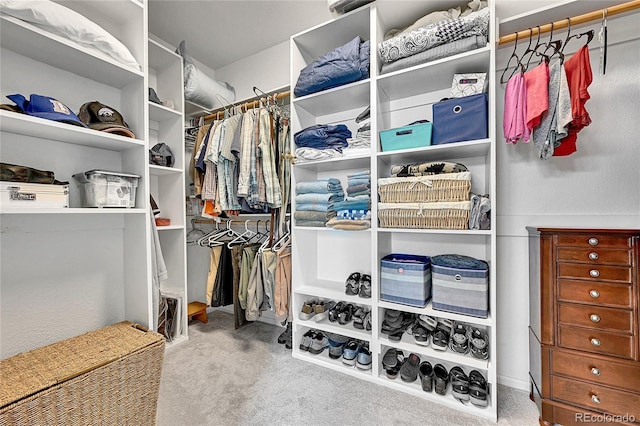 10653 W Parkhill Dr, Littleton, CO 80127 - walk in closet with carpet floors