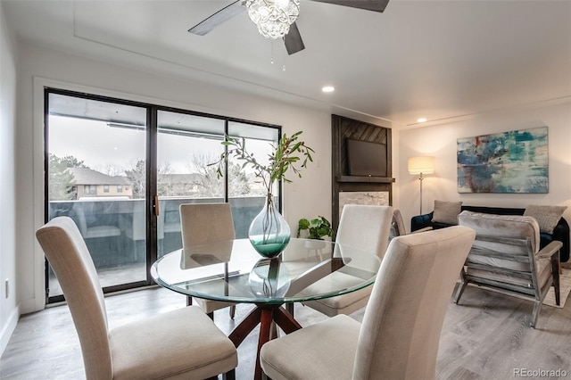 dining room featuring light hardwood / wood-style floors, plenty of natural light, and ceiling fan