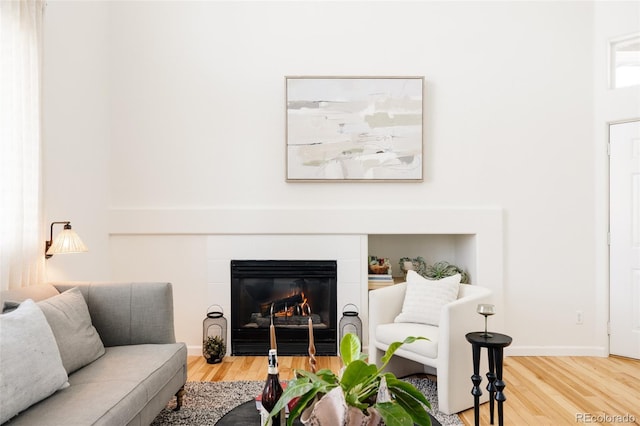 living room featuring wood-type flooring