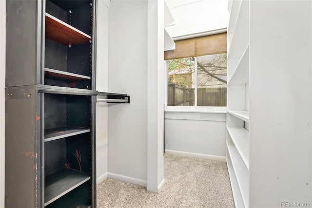 3147 W 39th Ave, Denver, CO 80211 - walk in closet featuring carpet
