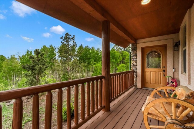 71 Crestone Cir, Florissant, CO 80816 - photo 4