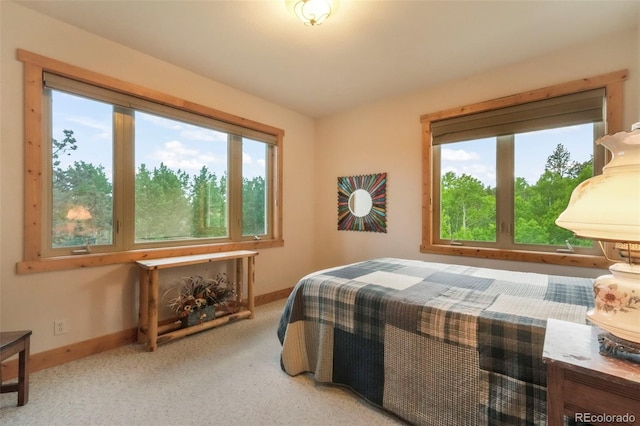 71 Crestone Cir, Florissant, CO 80816 - photo 29