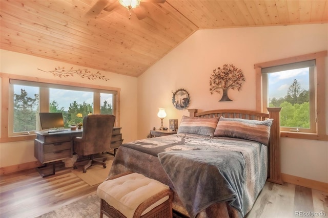 71 Crestone Cir, Florissant, CO 80816 - photo 33