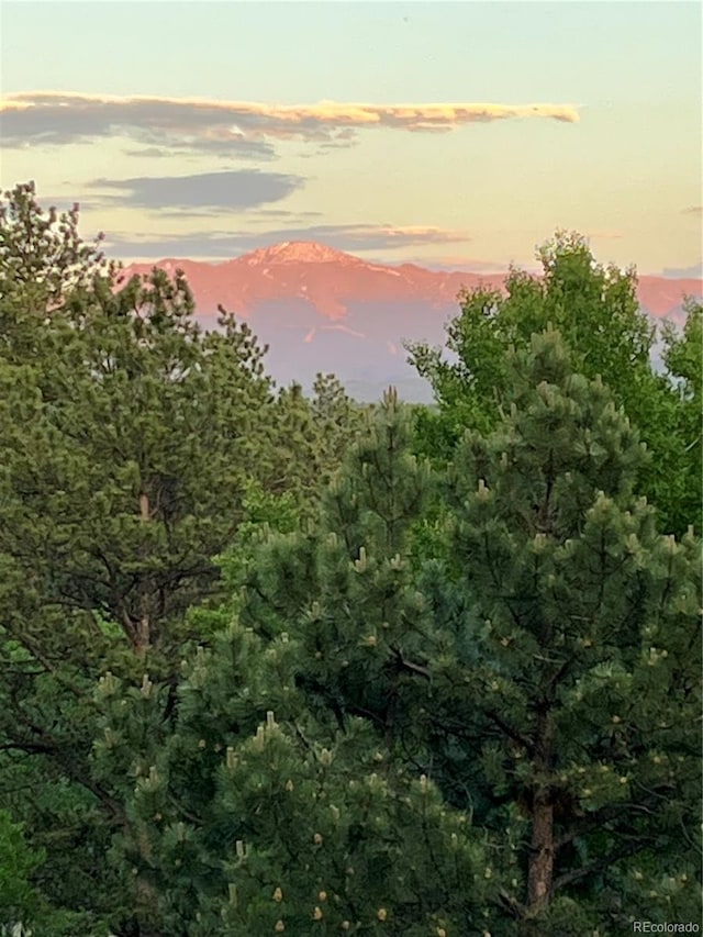 71 Crestone Cir, Florissant, CO 80816 - photo 45