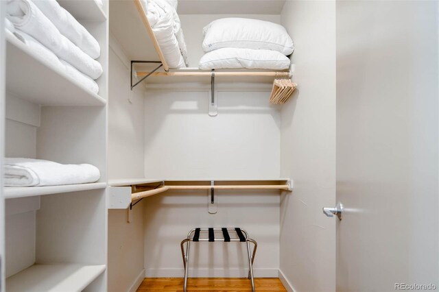 walk in closet featuring hardwood / wood-style floors