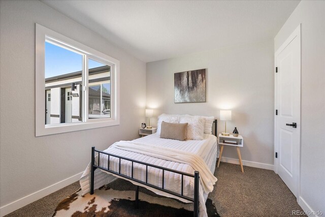 3216 Elizabeth, Denver, CO 80205 - bedroom featuring carpet floors and baseboards