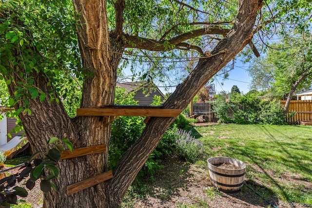 11320 Irma Dr, Northglenn, CO 80233 - view of yard