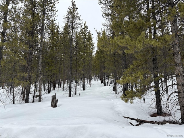 104 Mt Massive Rd, Twin Lakes CO, 81251 land for sale