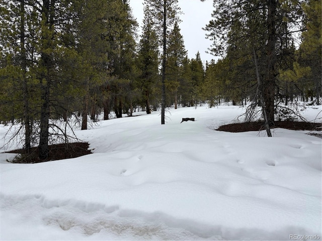 Listing photo 2 for 104 Mt Massive Rd, Twin Lakes CO 81251