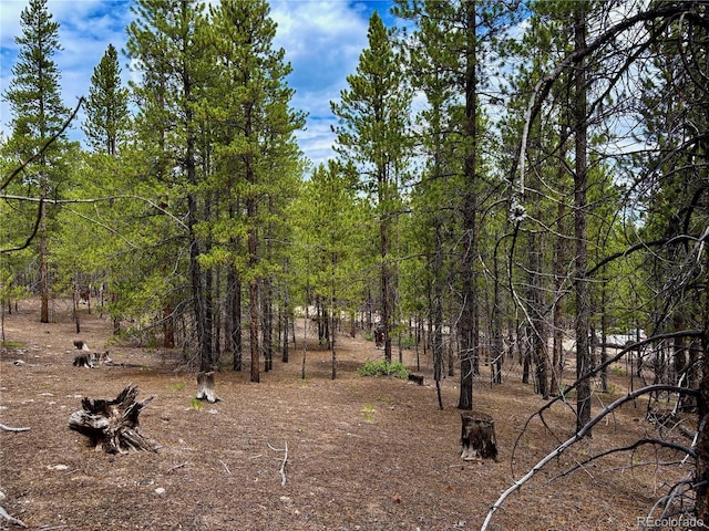 104 Mt Massive Rd, Twin Lakes, CO 81251 - photo 2
