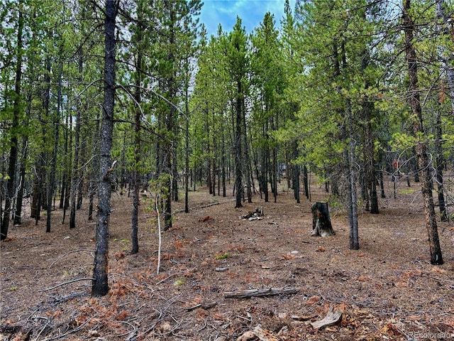 104 Mt Massive Rd, Twin Lakes, CO 81251 - photo 4