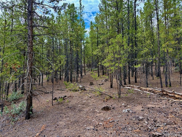 104 Mt Massive Rd, Twin Lakes, CO 81251 - photo 3