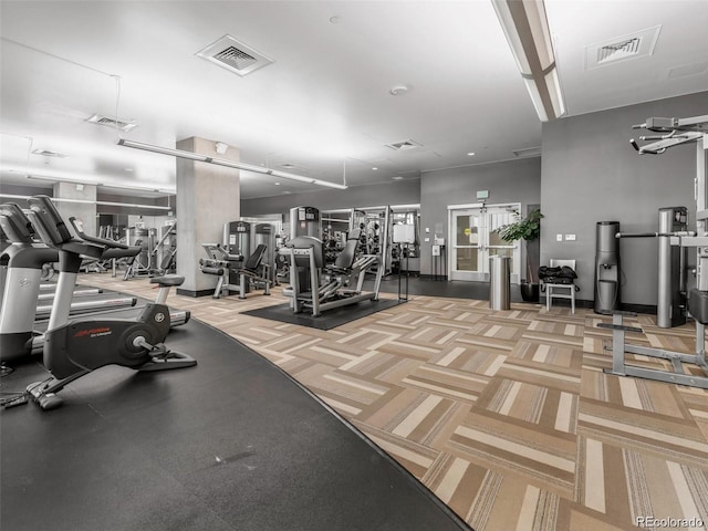 workout area with light carpet