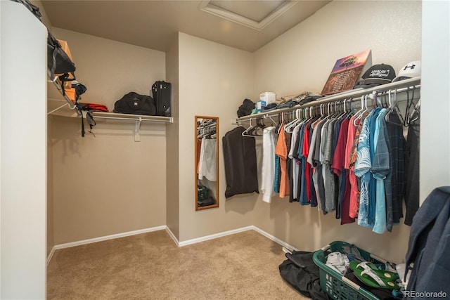 6434 N Ensenada Ct, Aurora, CO 80019 - walk in closet with carpet and attic access