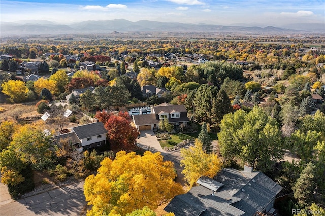 6709 Walker Ct, Niwot, CO 80503 - photo 34