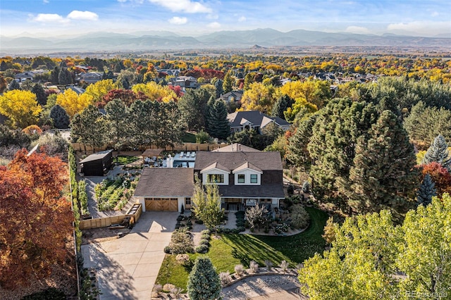 6709 Walker Ct, Niwot, CO 80503 - photo 35