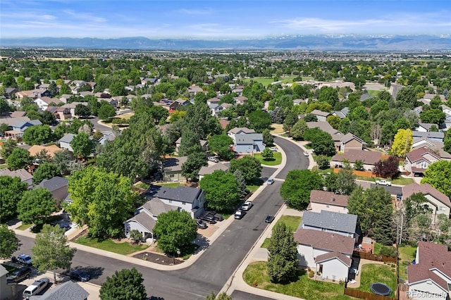 6924 Quigley Cir, Firestone, CO 80504 - photo 45