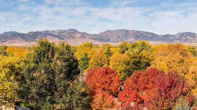 view of mountain feature