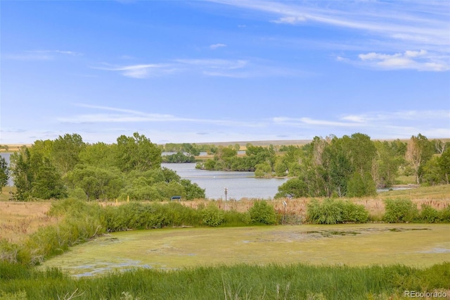 6023 S Little River Way, Aurora, CO 80016 - photo 39