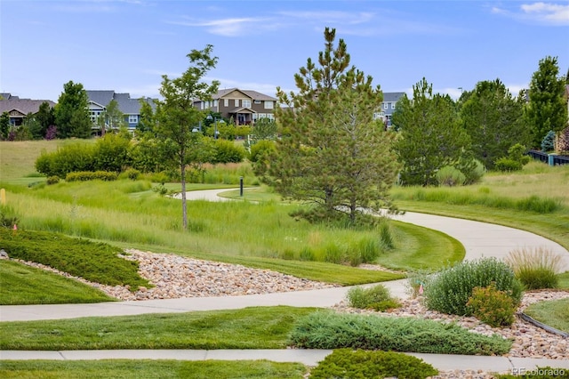 6023 S Little River Way, Aurora, CO 80016 - photo 40