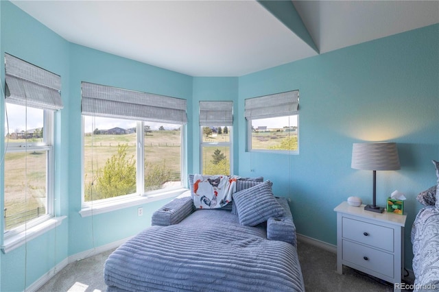 2339 Elkhorn St, Parker, CO 80138 - carpeted bedroom featuring baseboards and multiple windows