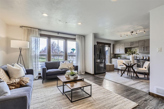 living room with light wood-type flooring