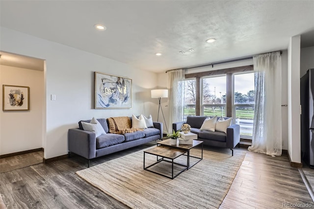 living room with dark hardwood / wood-style floors