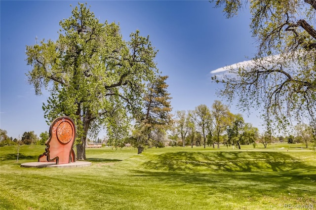 view of community featuring a lawn