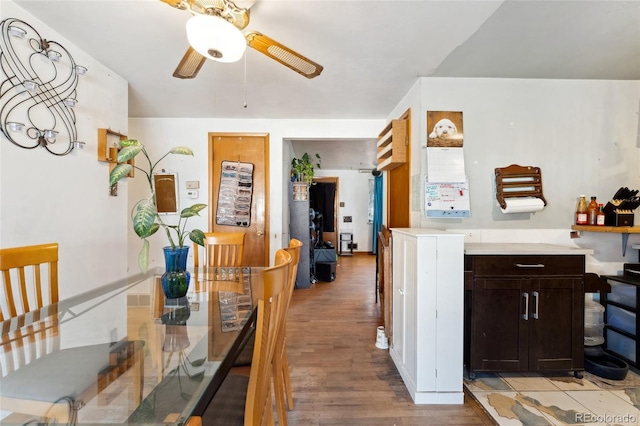 kitchen featuring dark brown cabinetry, light hardwood / wood-style flooring, and ceiling fan