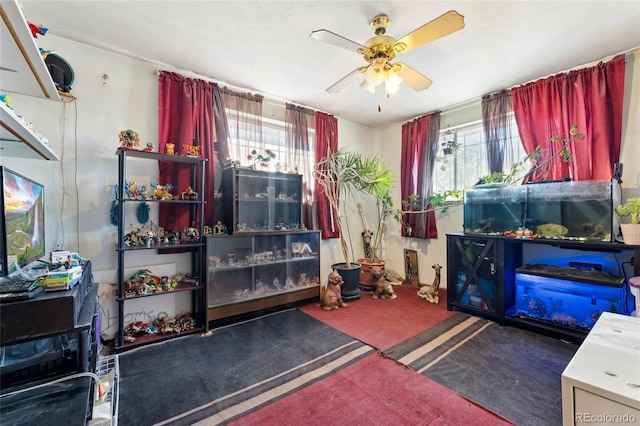 miscellaneous room featuring plenty of natural light, ceiling fan, and dark colored carpet