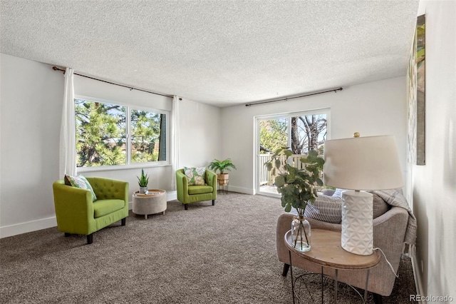 living room with carpet flooring, baseboards, and a textured ceiling