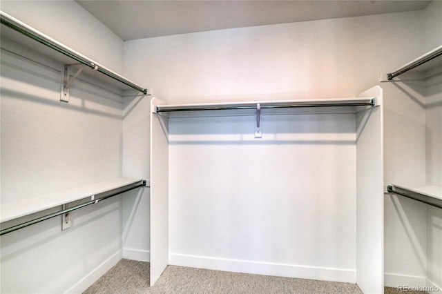 walk in closet featuring light carpet