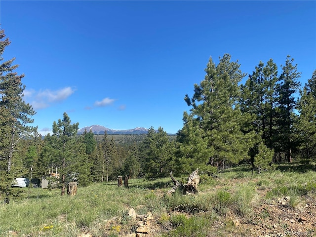 Chubb, Buena Vista CO, 81233 land for sale