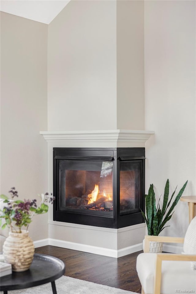 details featuring baseboards, a multi sided fireplace, and wood finished floors