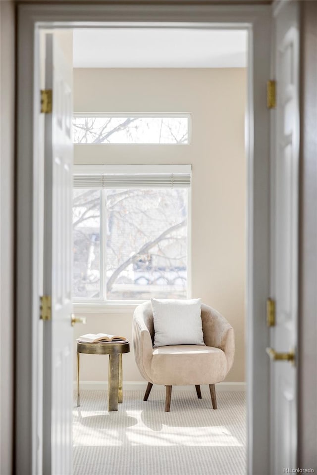 living area with carpet floors and baseboards