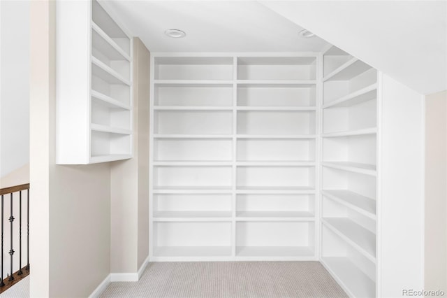 spacious closet featuring light carpet