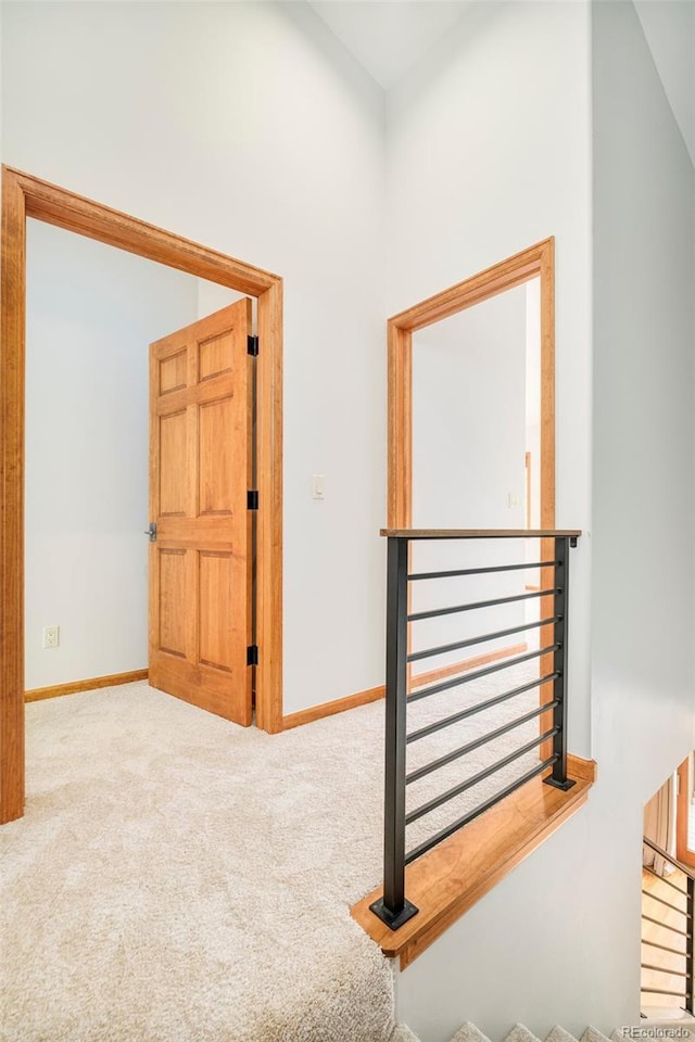 101 Lions Ln, Minturn, CO 81645 - hallway with carpet and baseboards