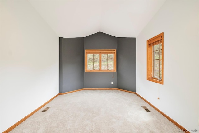 101 Lions Ln, Minturn, CO 81645 - unfurnished room with plenty of natural light, carpet floors, lofted ceiling, and baseboards