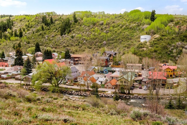 101 Lions Ln, Minturn, CO 81645 - aerial view of residential area with a heavily wooded area