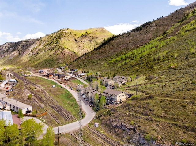 101 Lions Ln, Minturn, CO 81645 - mountain view