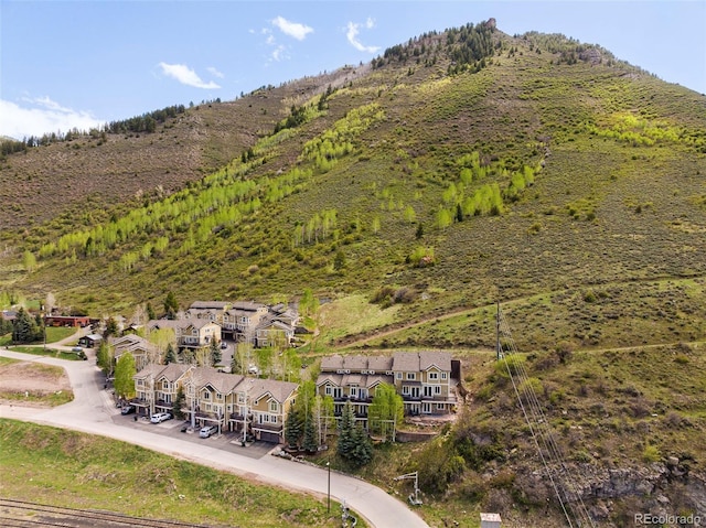 101 Lions Ln, Minturn, CO 81645 - view of mountain backdrop