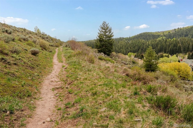 101 Lions Ln, Minturn, CO 81645 - mountain view with a forest